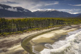 New Zealand 2025 (1 group) (48/66)